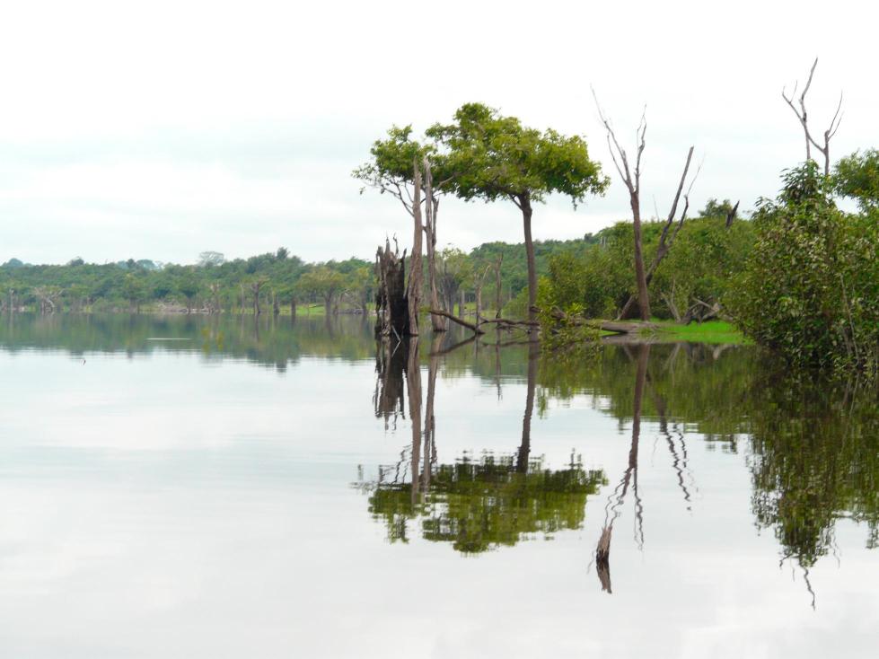 A picture of our fishing spot.