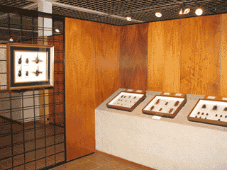 写真 標本展示室