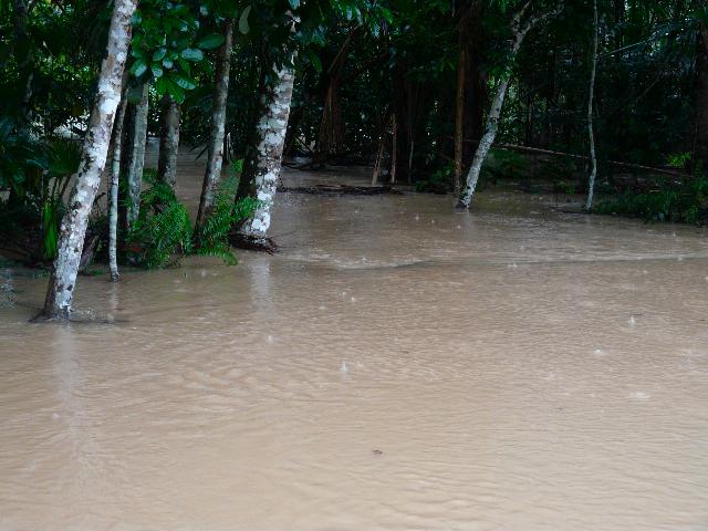 洪水