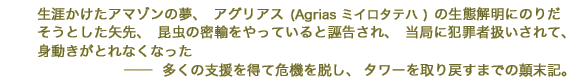 生涯かけたアマゾンの夢、アグリアス(Agrias ミイロタテハ)の生態解明にのりだそうとした矢先、昆虫の密輸をやっていると誣告され、当局に犯罪者扱いされて、身動きがとれなくなった ──  多くの支援を得て危機を脱し、タワーを取り戻すまでの顛末記。